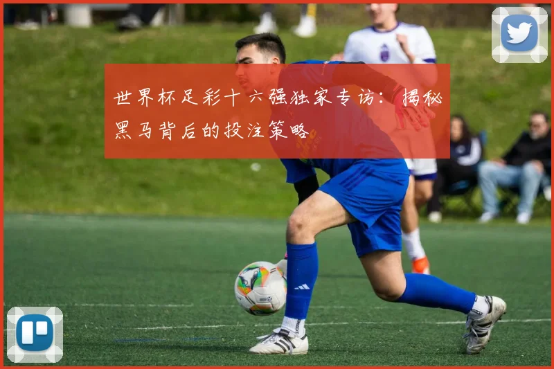 世界杯足彩十六强独家专访：揭秘黑马背后的投注策略