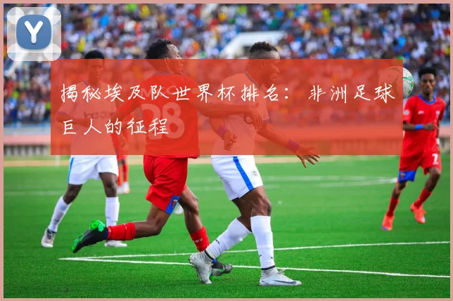 揭秘埃及队世界杯排名：非洲足球巨人的征程